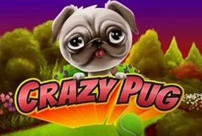 Crazy Pug